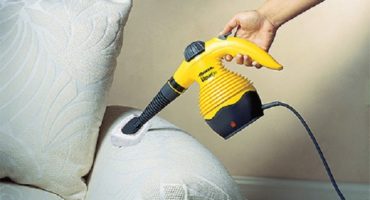 È possibile eliminare gli insetti con un pulitore a vapore