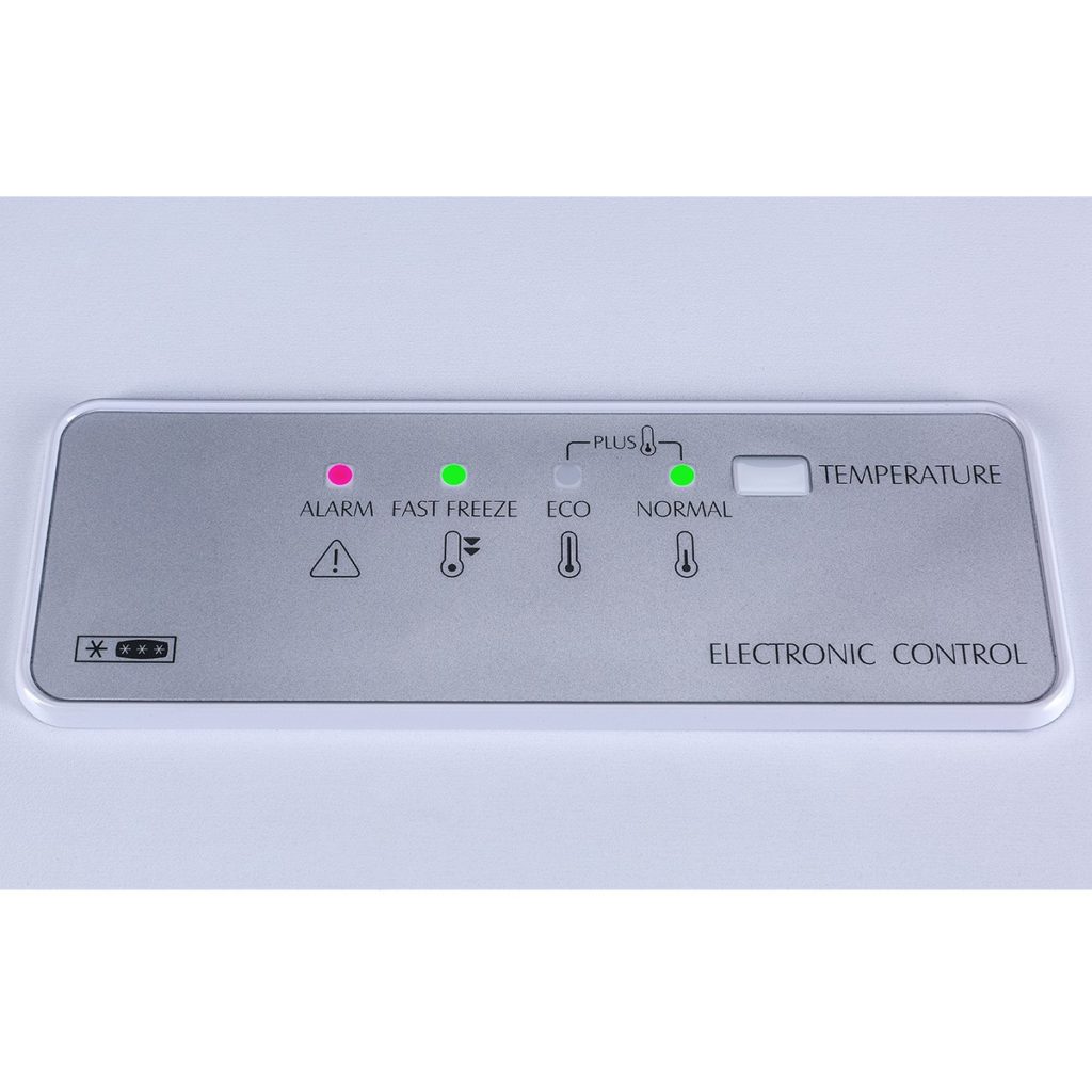 Cassa o armadio congelatore: cosa è meglio scegliere per l'uso domestico: vantaggi e svantaggi di ciascun dispositivo