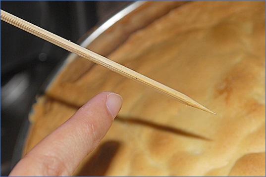 La ciotola del multicucina brucia: cosa fare: raccomandazioni comprovate