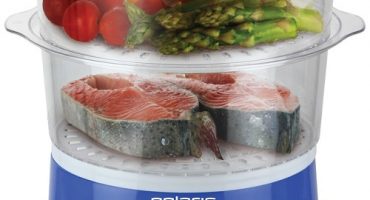 Valutazione del fornello a vapore 2018-2019: i 10 migliori modelli migliori