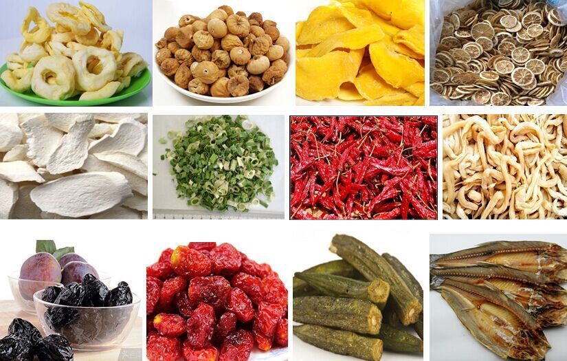 Scegliere un essiccatore per frutta e verdura: criteri importanti per la scelta dei dispositivi e il confronto tra diversi modelli