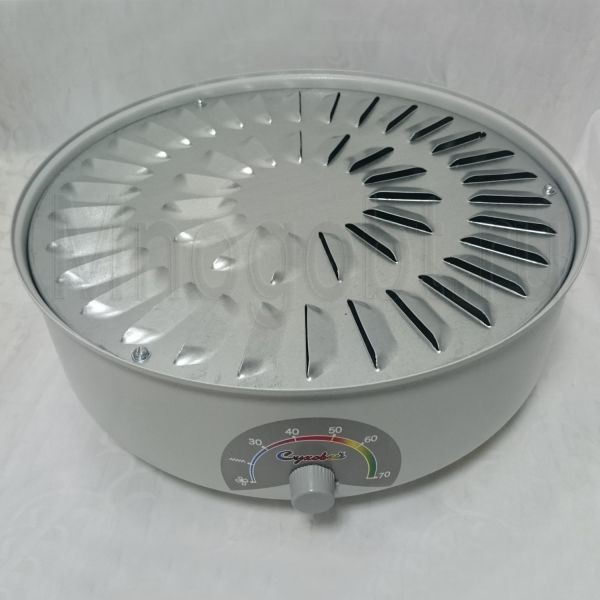 Scegliere un essiccatore per frutta e verdura: criteri importanti per la scelta dei dispositivi e il confronto tra diversi modelli