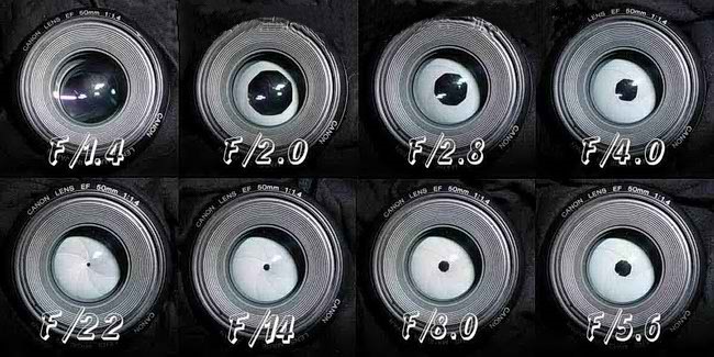 Qual è il diaframma nella fotocamera?