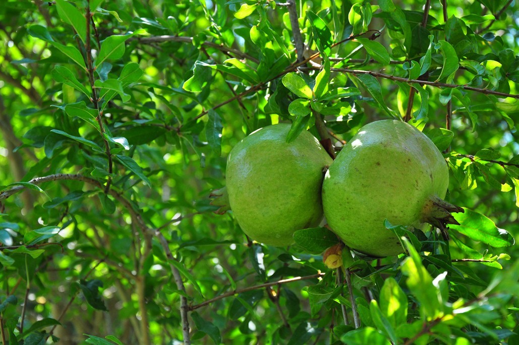 Come configurare le impostazioni della fotocamera?