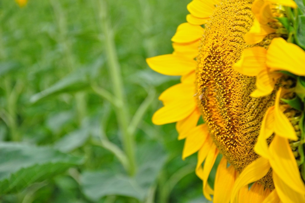 Come configurare le impostazioni della fotocamera?