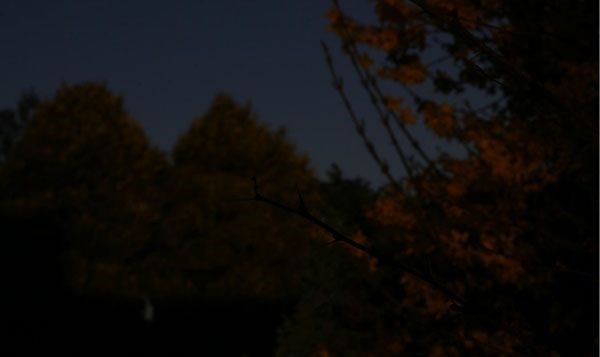 Qual è il diaframma nella fotocamera?