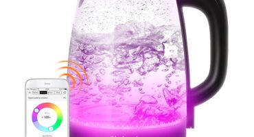 Quale bollitore elettrico è meglio scegliere? Valutazione dei migliori bollitori elettrici