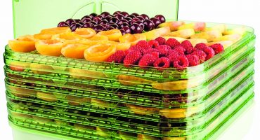 Valutazione degli essiccatori per frutta e verdura 2018-2019 - TOP-15 dei migliori modelli